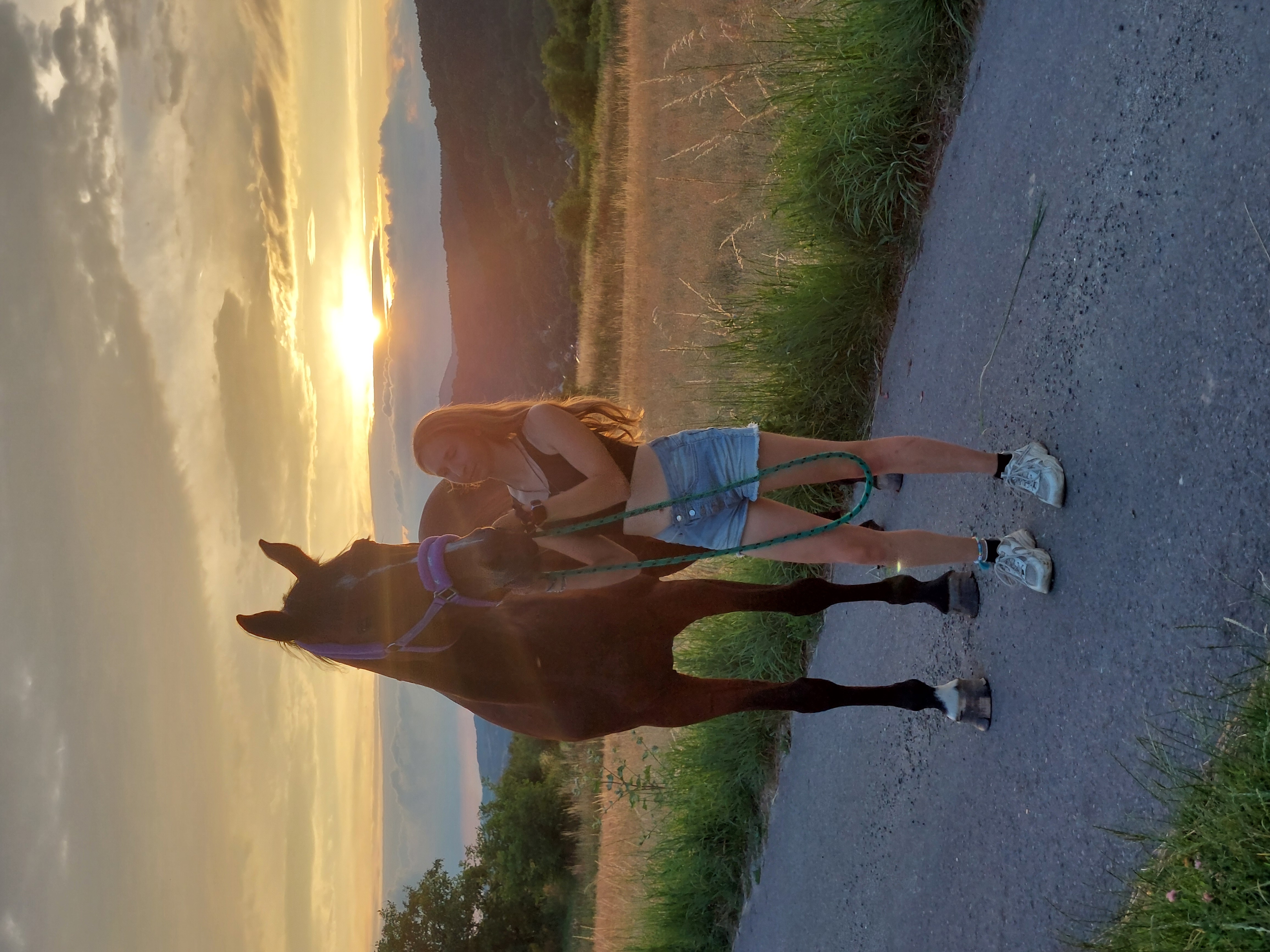 Images/Other/Missing_Alt.webp